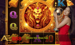Hoàn trả thua bài hot